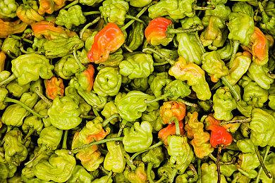 《灵魂骇客2》游戏情报⑦：避免世界的终结